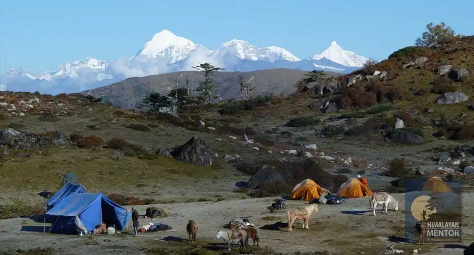 Druk Path trek - 8 days